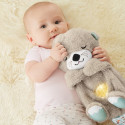 Fisher-Price Soothe 'N Snuggle Otter