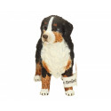 Schleich toy figure Bernese Mountain Dog