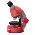 Mikroskoop lastele, Levenhuk LabZZ M101 Orange, 40x-640x, koos katsekomplektiga
