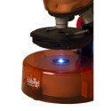 Mikroskoop lastele, Levenhuk LabZZ M101 Orange, 40x-640x, koos katsekomplektiga