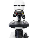 Digital Microscope Levenhuk Rainbow D2L 40x-400x Moonstone with experimental kit and digit