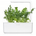 Click & Grow Smart Garden refill Rukola 3tk