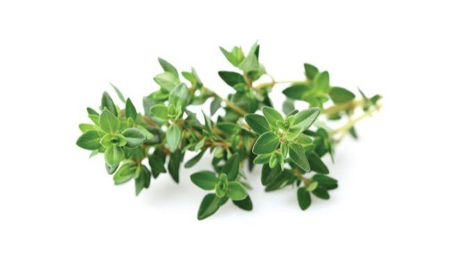 Click & Grow Smart Garden refill Thyme 3pcs