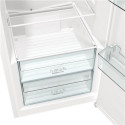 Gorenje | Refrigerator | R619EEW5 | Energy efficiency class E | Free standing | Larder | Height 185 