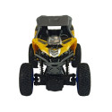 RoGer Offroad Radio Controlled Car 1:16