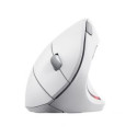 Trust MOUSE USB OPTICAL WRL VERTO/ERGONOMIC WHITE 25132