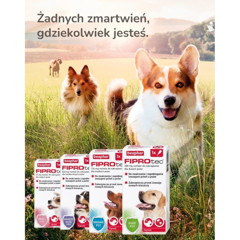 Beaphar flea and tick drops best sale