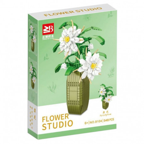 Klotsikomplekt Öökuninganna 548 osa