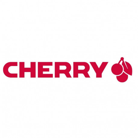 CHERRY DW 9100 SLIM klaviatuur hiir kaasas universaalne RF juhtmevaba + Bluetooth QWERTZ saksa hõbed