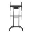 FL55-875BL1 floor stand 37-100'' 110KG 100x100-800x600 H:115,2-180,2