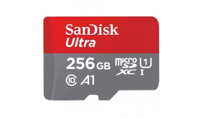 Sandisk Micro SDXC 256GB Class 10 UHS-I SDSQUAC-256G-GN6MA