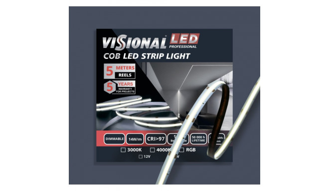 COB LED TAPE / Continuous lighting LED tape / without dots