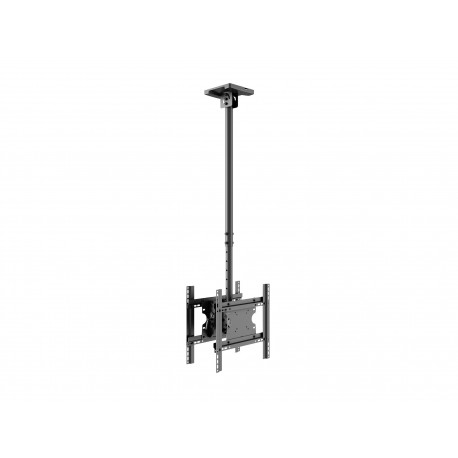 MB PUBLIC CEILINGMOUNT MEDIU BACKTOBACK