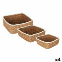 Korvikomplekt Privilege   3 Tükid, osad vitstest 17 cm (3 Tükid, osad) (4 Ühikut)
