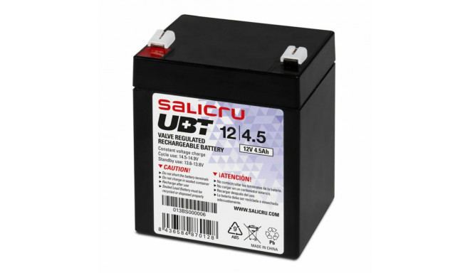 Battery for Uninterruptible Power Supply System UPS Salicru UBT 12/4,5 VRLA 4.5 Ah 4,5 AH 12 V 12V