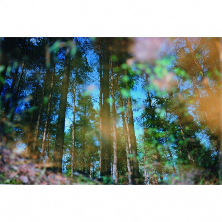 Holga Objektiv HL-N 8,0/60mm für Nikon F (FF)