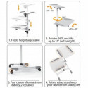 Universal projector/notebook trolley two shelvy