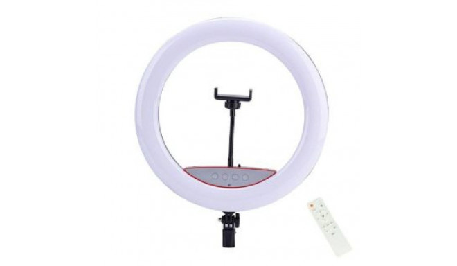 Elight SR14 36cm LED Light Ring with Smartphone holder + 220V Adapter + BT remote Black