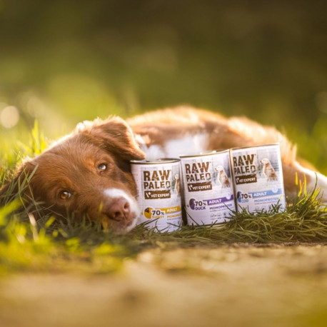 VETEXPERT Raw Paleo Adult Monoprotein Duck - wet dog food - 400 g