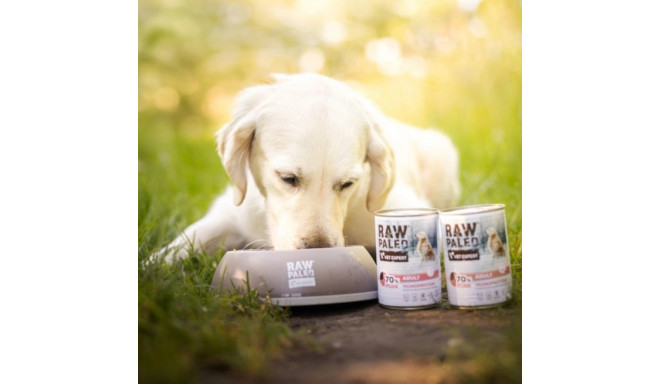 RAW PALEO täiskasvanute monoproteiiniga sealiha märg koeratoit 400 g