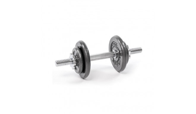 Profit 10kg DK 4126 cast iron dumbbell