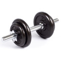 Profit 10kg DK 4126 cast iron dumbbell