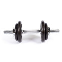 Profit 10kg DK 4126 cast iron dumbbell