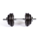 Profit 10kg DK 4126 cast iron dumbbell