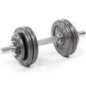 Profit 10kg DK 4126 cast iron dumbbell