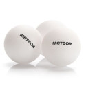Meteor 15029 table tennis set (uniw)