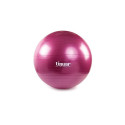 Tiguar safety plus ball 65 cm TI-SP0065S