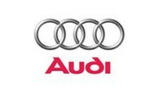 Võtmehoidja Audi logoga, metallist.