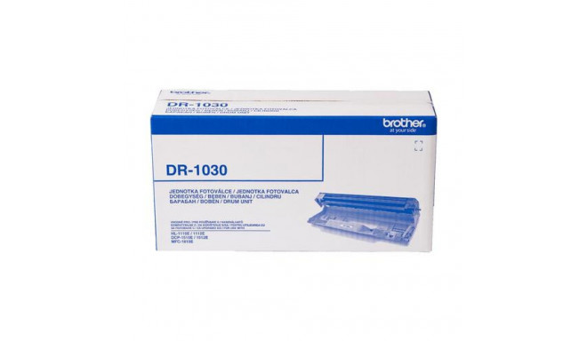 Brother DR-1030 printer drum Original 1 pc(s)