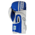 Boxing gloves Masters Rbt-PZKB-W 011101-02W (niebieski)