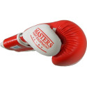 Boxing gloves Masters Rbt-PZKB-W 011101-02W (niebieski)