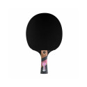 Conrilleau Excell Carbon 3000 table tennis bats