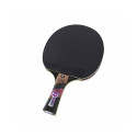 Conrilleau Excell Carbon 3000 table tennis bats