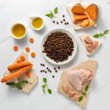VETEXPERT Raw Paleo Ultra Medium&Large Adult Turkey - dry dog ​​food - 2 kg