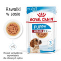 ROYAL CANIN SHN Medium kutsikatoit kastmes - märg kutsikatoit - 10x140g