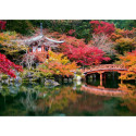 Puzzle 1000 pieces Garden Dai go-ji Kyoto Japan