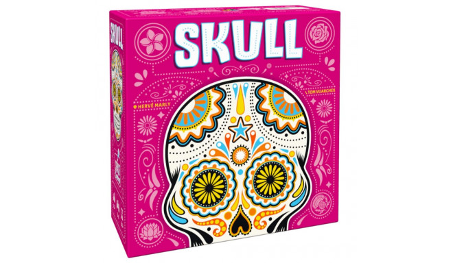 Brain Games Skull (EE  LV  LT)