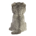 AURORA Miyoni pehme mänguasi Scottish fold kass, 22 cm