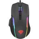 Hiir GENESIS XENON 220 RGB Must