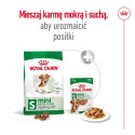 Dog Food - Royal Canin Mini Ageing Adult +12 3.5 Kg