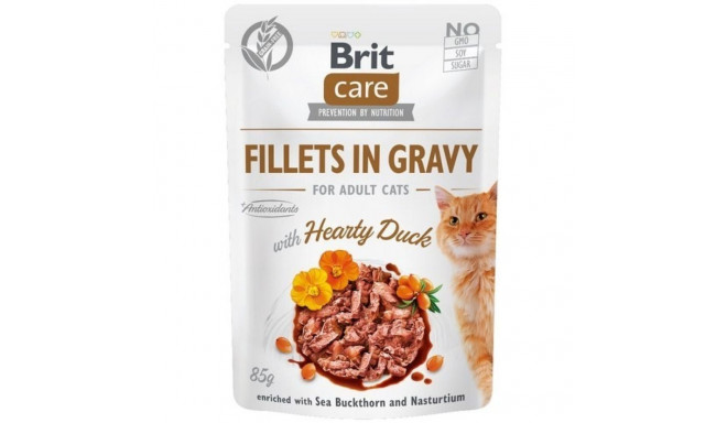 Wet Cat Food - Brit Care 85g, Gray