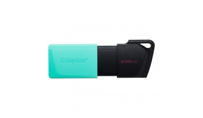 USB Drive - Kingston 256GB Teal