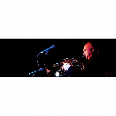 Stage Microphone - Røde M1, Black