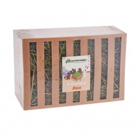 Rodent Treat - FactoryHerbs Yummy Box 350g Grass Flavor