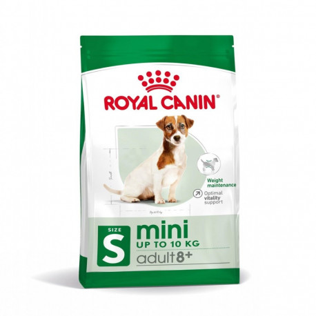 Dog Food - Royal Canin Mini Adult +8 800g