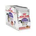 Wet Cat Food - Royal Canin Fhn